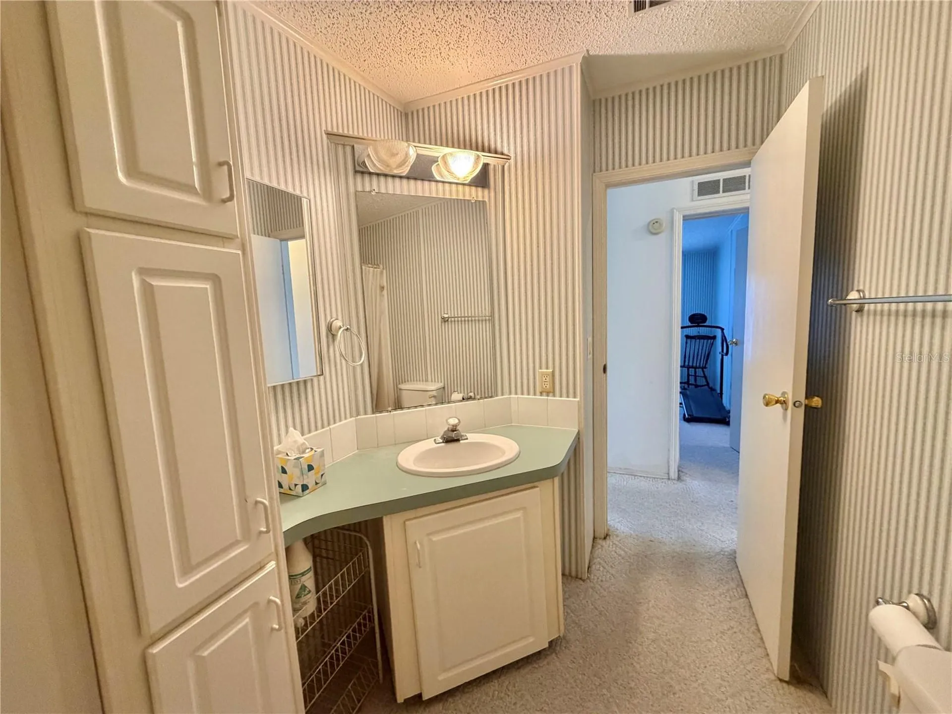 133 Dogwood Trail Leesburg FL 34748