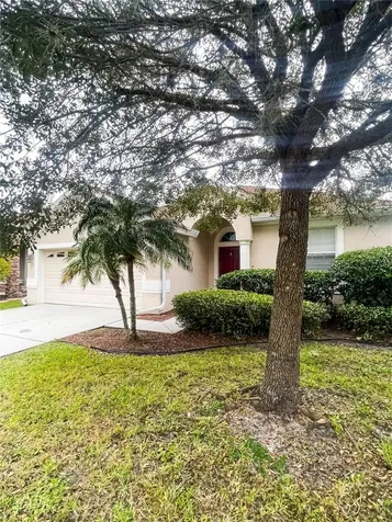 3922 Washburn Place Wesley Chapel FL 33543