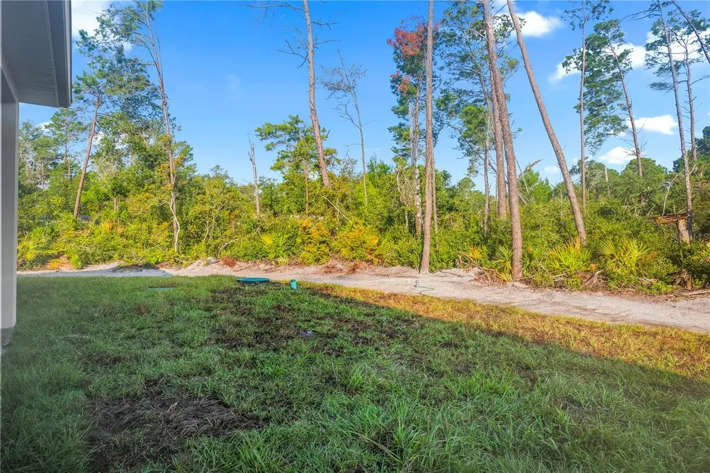 30643 Apricot Avenue Eustis FL 32736