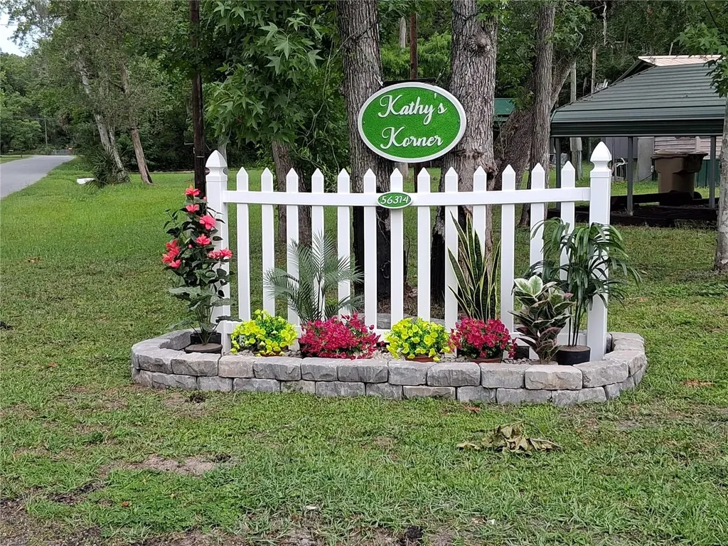 56314 Blue Creek Road Astor FL 32102