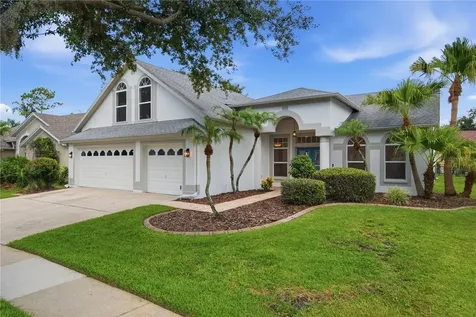 10226 Timberland Point Drive Tampa FL 33647