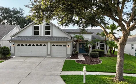 10226 Timberland Point Drive Tampa FL 33647