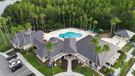 10226 Timberland Point Drive Tampa FL 33647