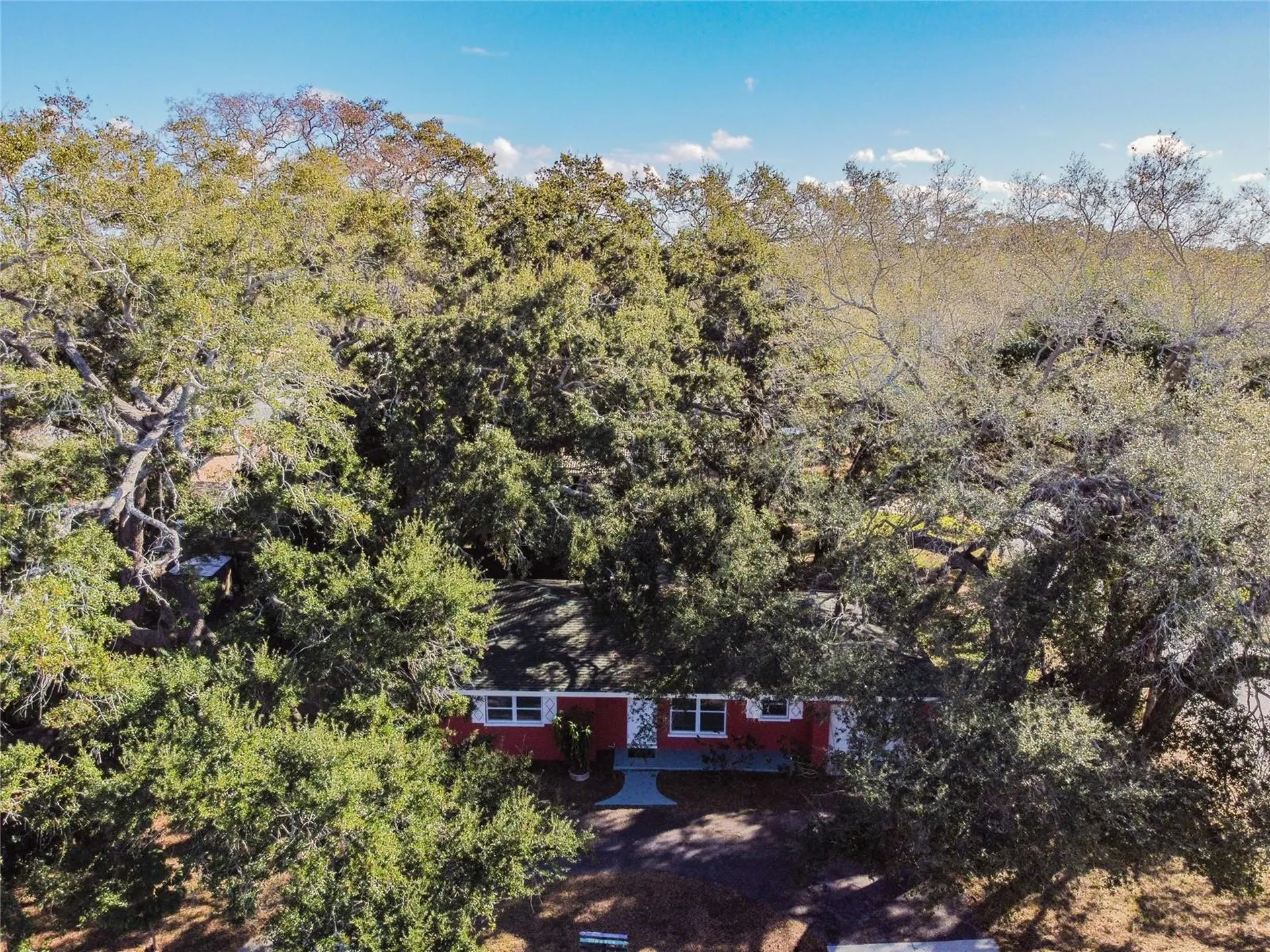 677 Oakwood Drive Dunedin FL 34698