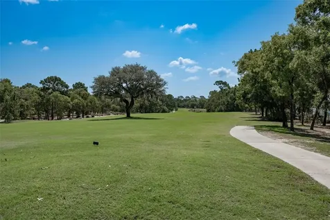 10517 SW 90th Street Road Ocala FL 34481