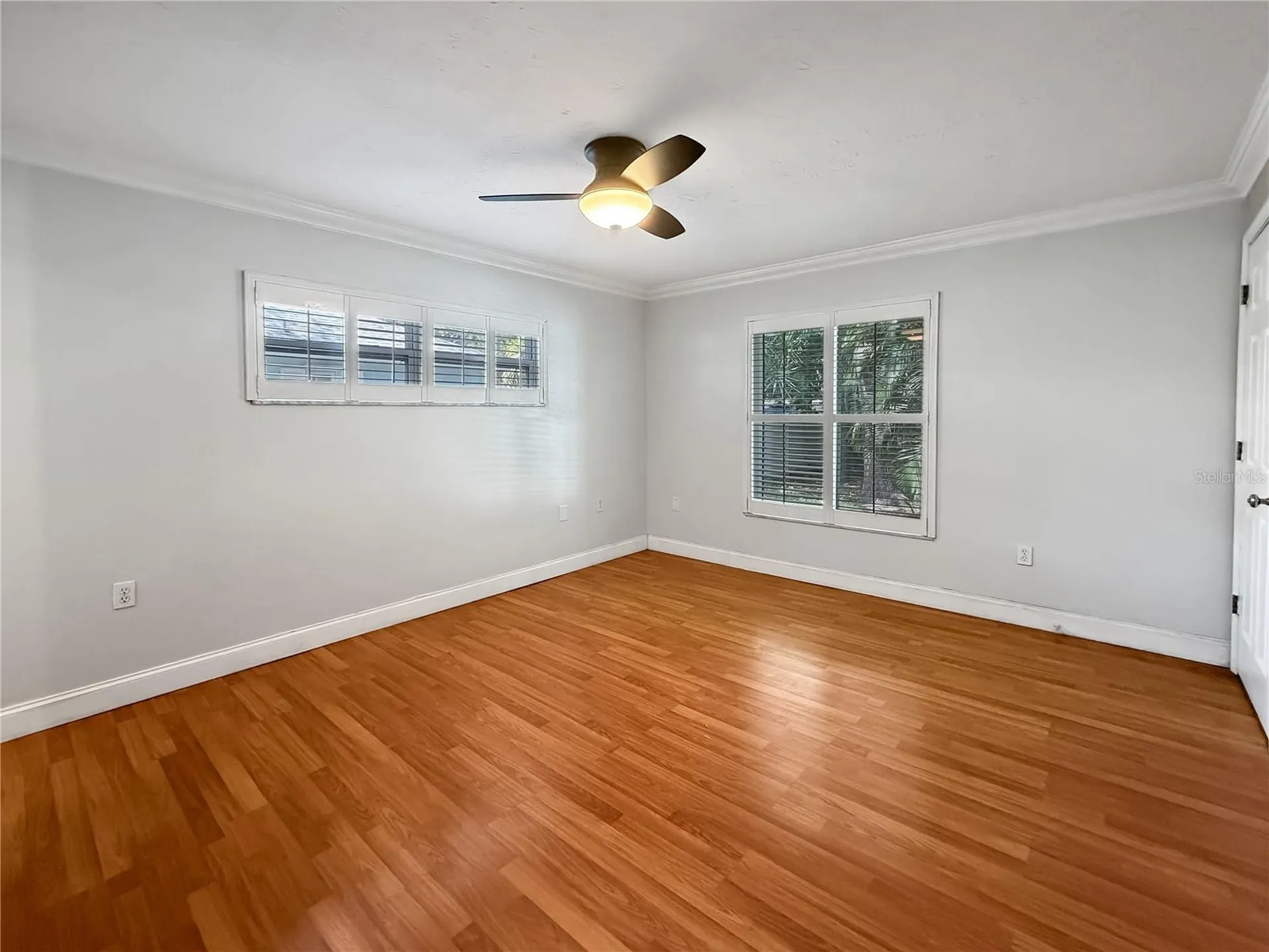 1011 Winding Oaks Drive Palm Harbor FL 34683