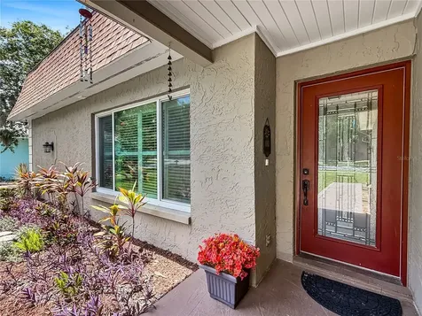 1011 Winding Oaks Drive Palm Harbor FL 34683