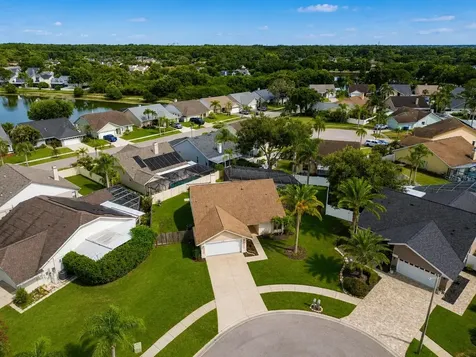 12008 Peony Court Tampa FL 33635