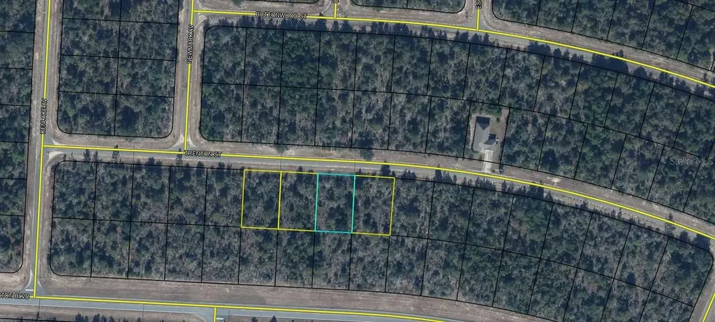 Lot 8, Unit 7, Blk 458 Trenton Street Chipley FL 32428