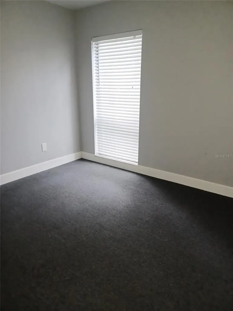 13304 Winding Oak Court Tampa FL 33612