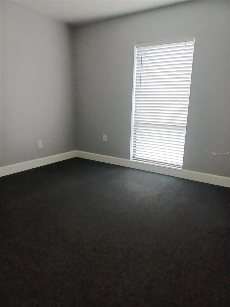 13304 Winding Oak Court Tampa FL 33612