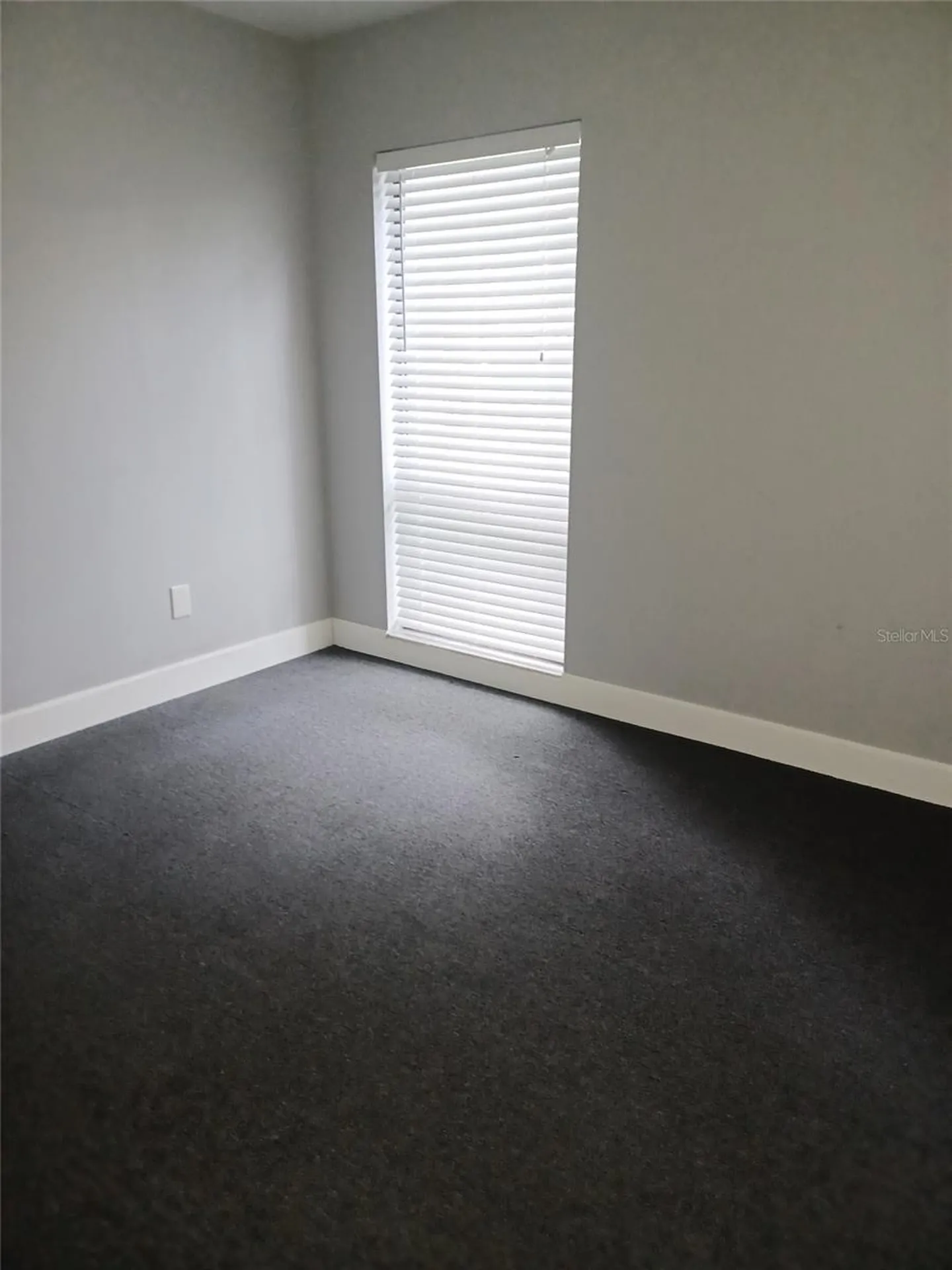 13304 Winding Oak Court Tampa FL 33612