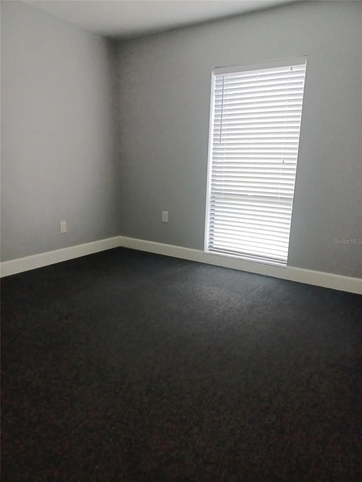 13304 Winding Oak Court Tampa FL 33612