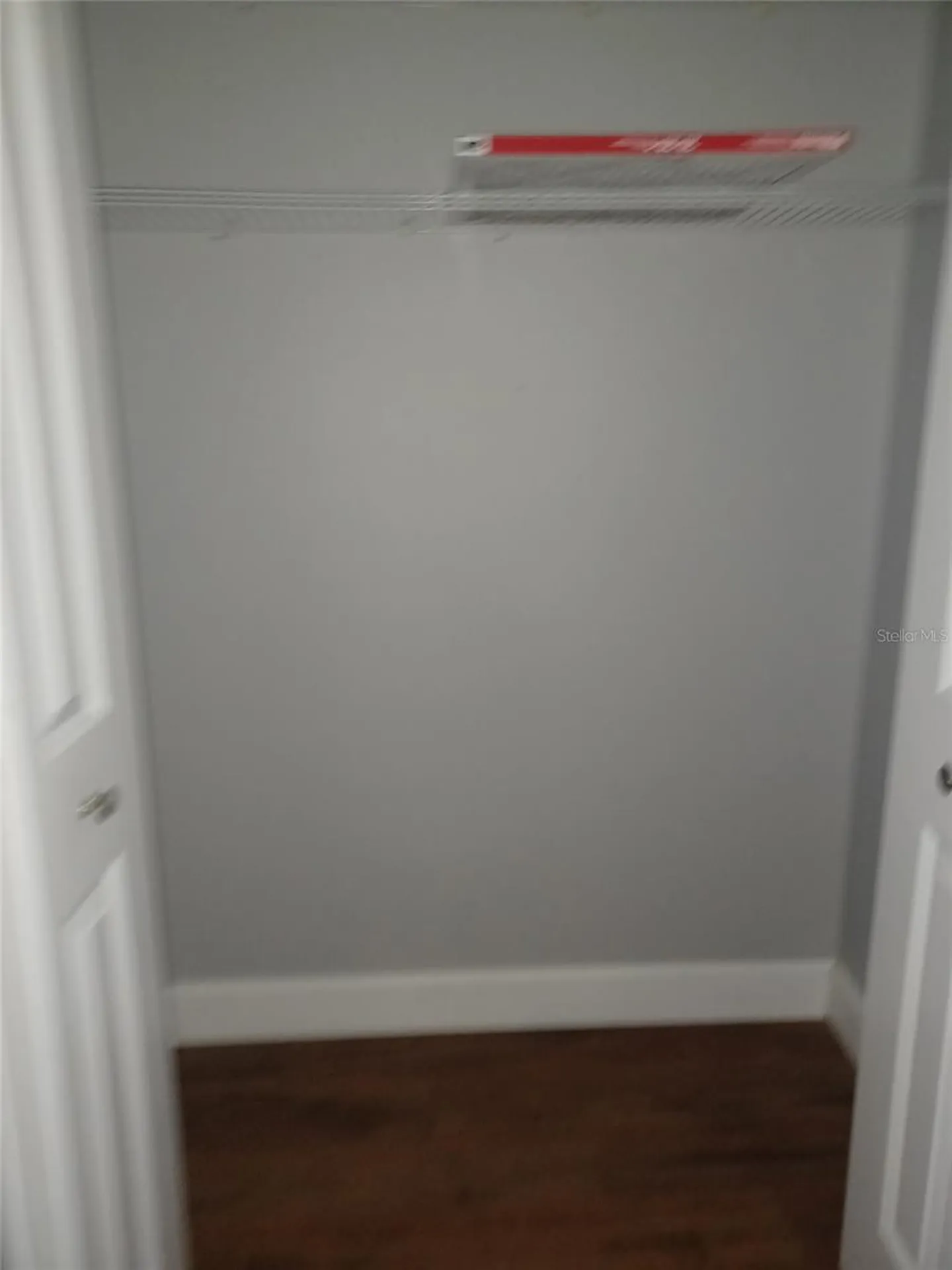 13304 Winding Oak Court Tampa FL 33612