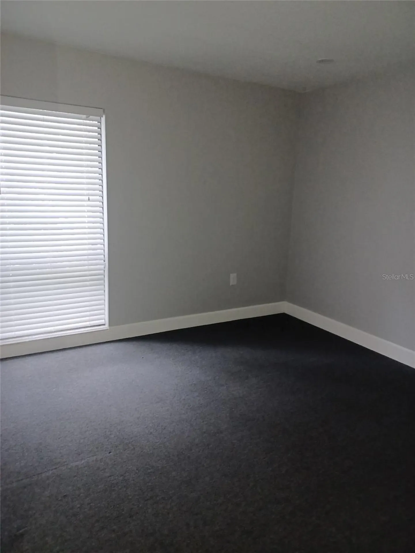 13304 Winding Oak Court Tampa FL 33612