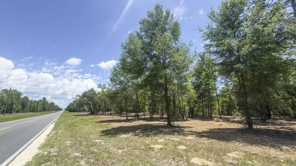 Tbd NE 75th Street Williston FL 32696