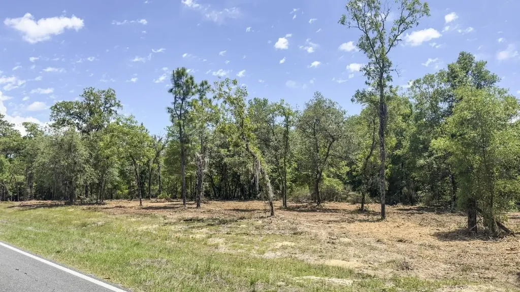 Tbd NE 75th Street Williston FL 32696