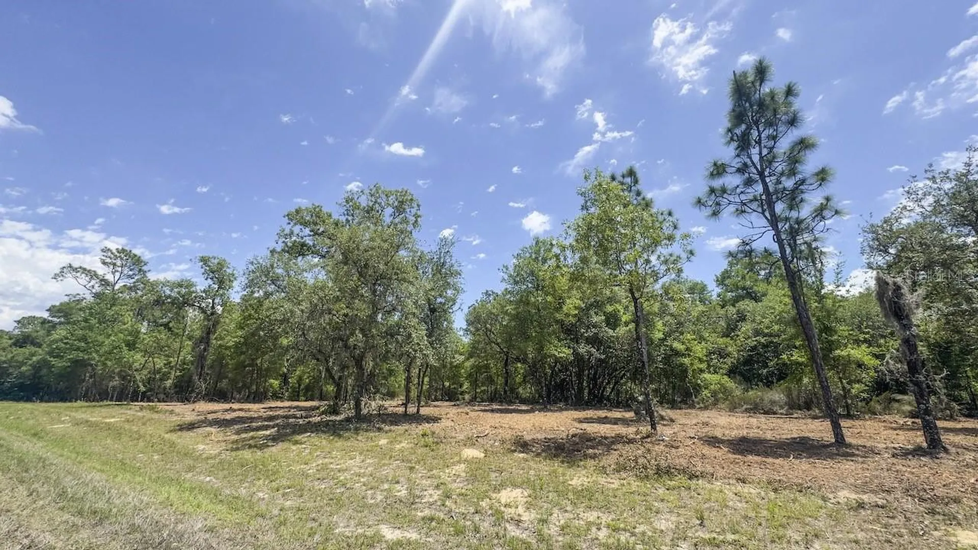 Tbd NE 75th Street Williston FL 32696