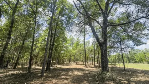 Tbd NE 75th Street Williston FL 32696
