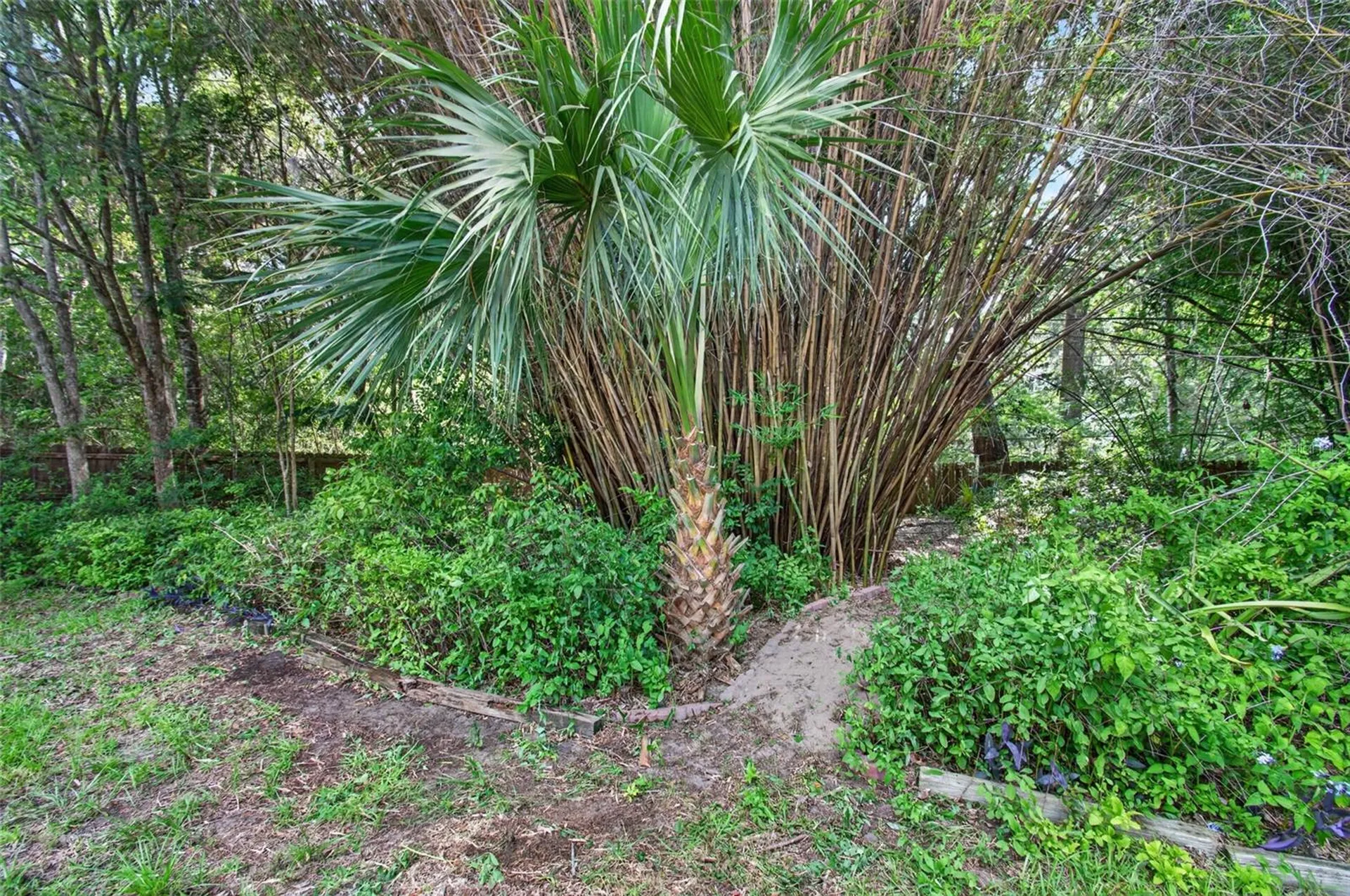 2840 NW 27th Terrace Gainesville FL 32605