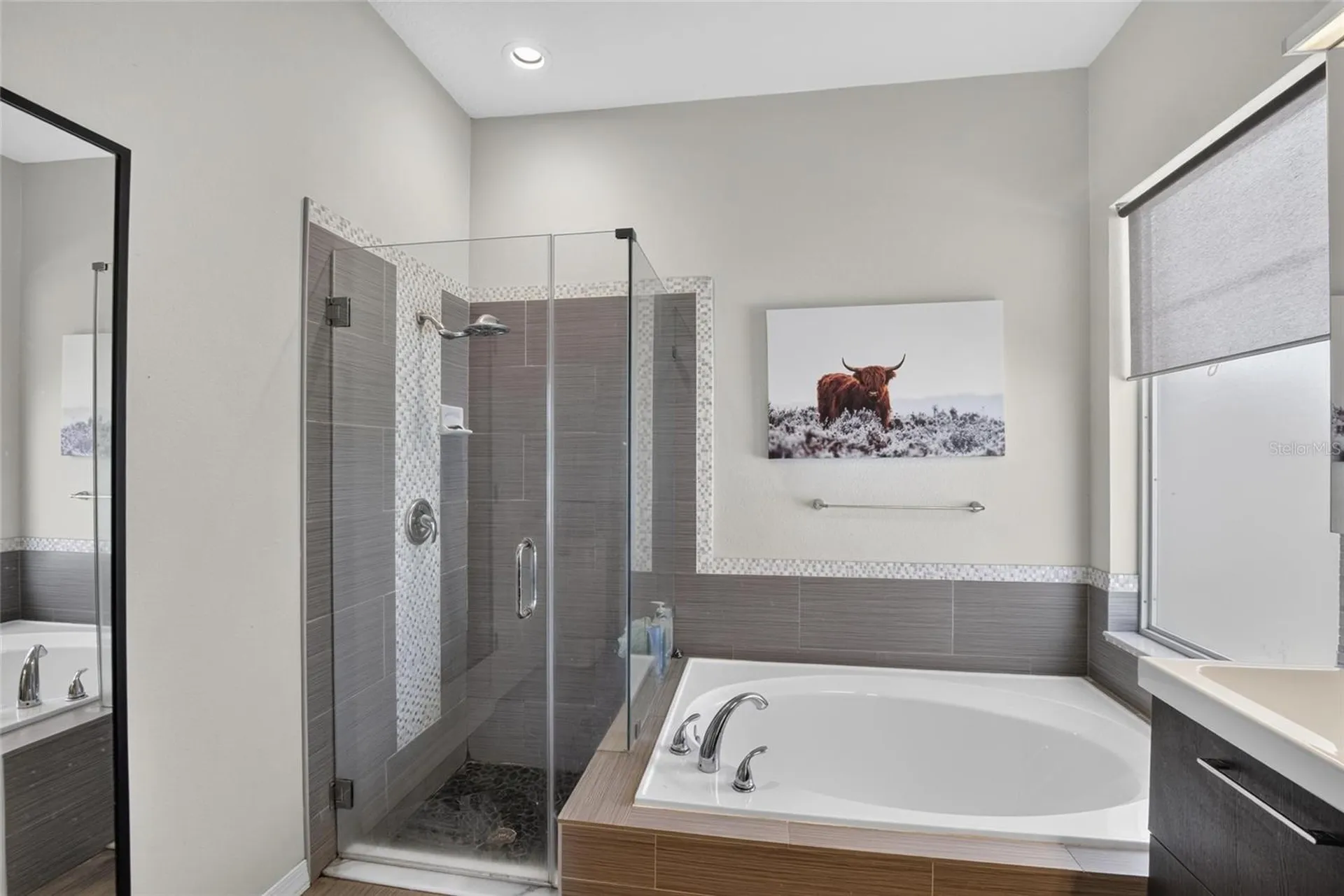 12426 Windmill Cove Drive Riverview FL 33569
