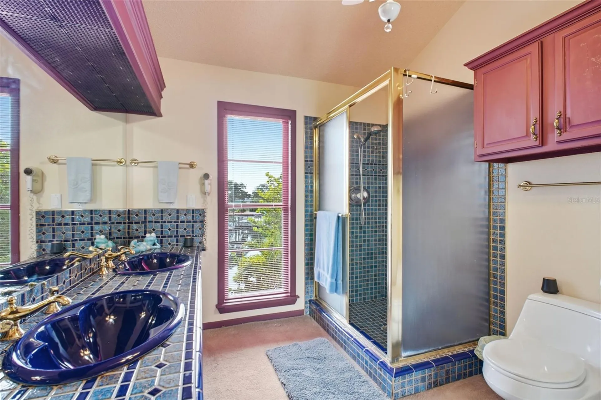 5 Venetian Court Tarpon Springs FL 34689