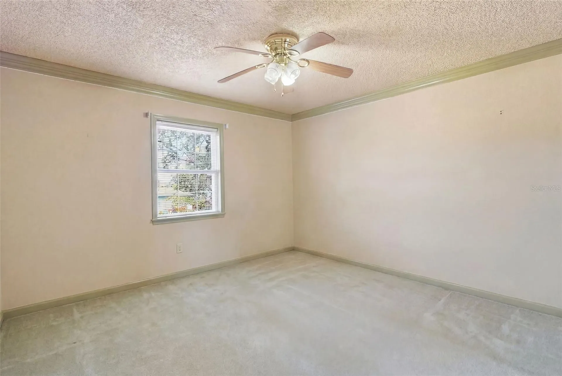 5 Venetian Court Tarpon Springs FL 34689