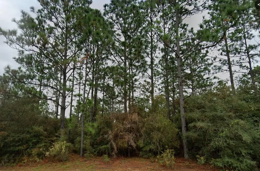 Deltona Boulevard Chipley FL 32428