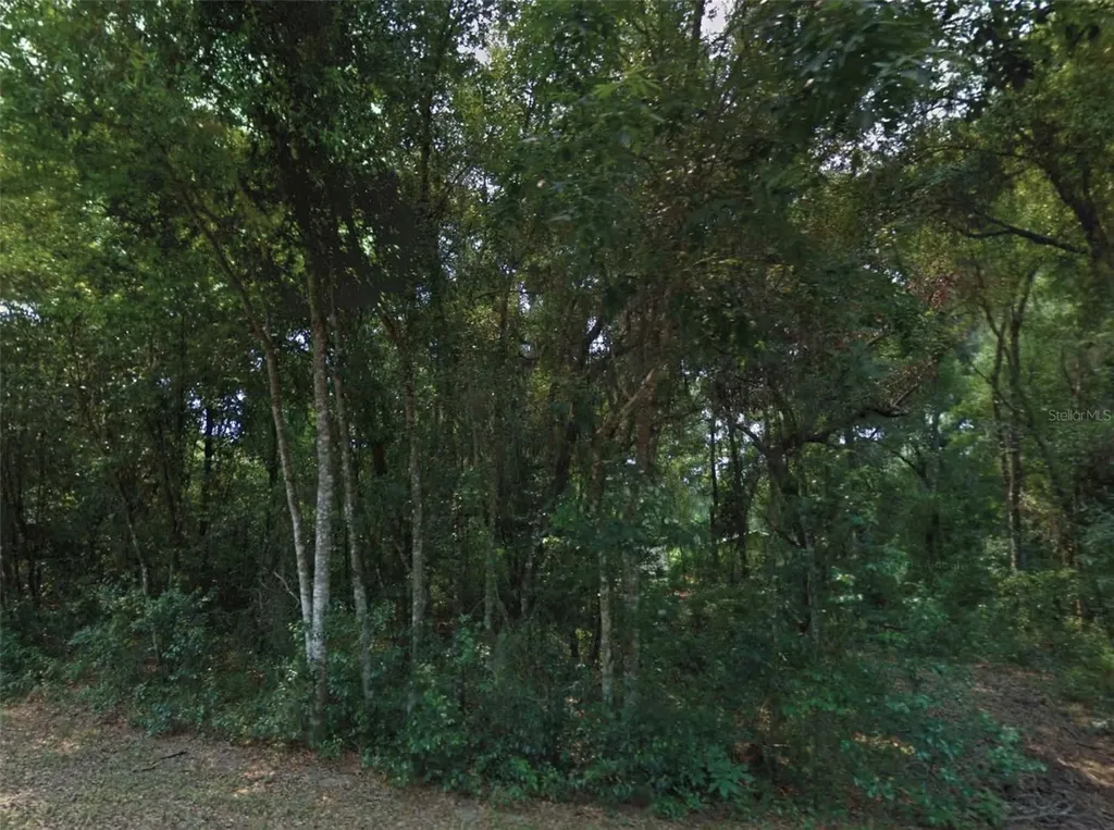 10534 E Waxwing Lane Floral City FL 34436
