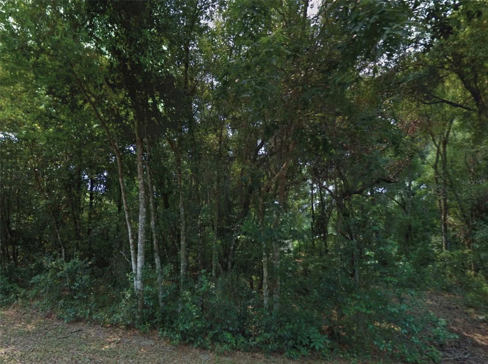 10534 E Waxwing Lane Floral City FL 34436