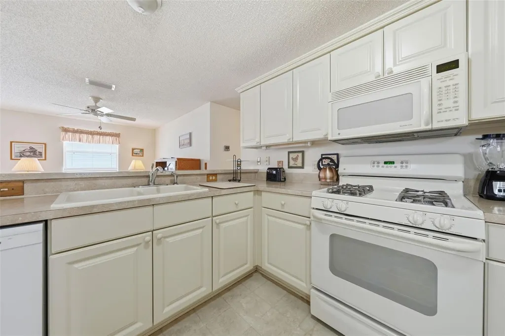 1614 Gibbes Way The Villages FL 32162