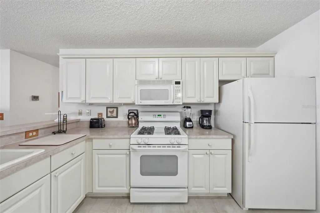 1614 Gibbes Way The Villages FL 32162