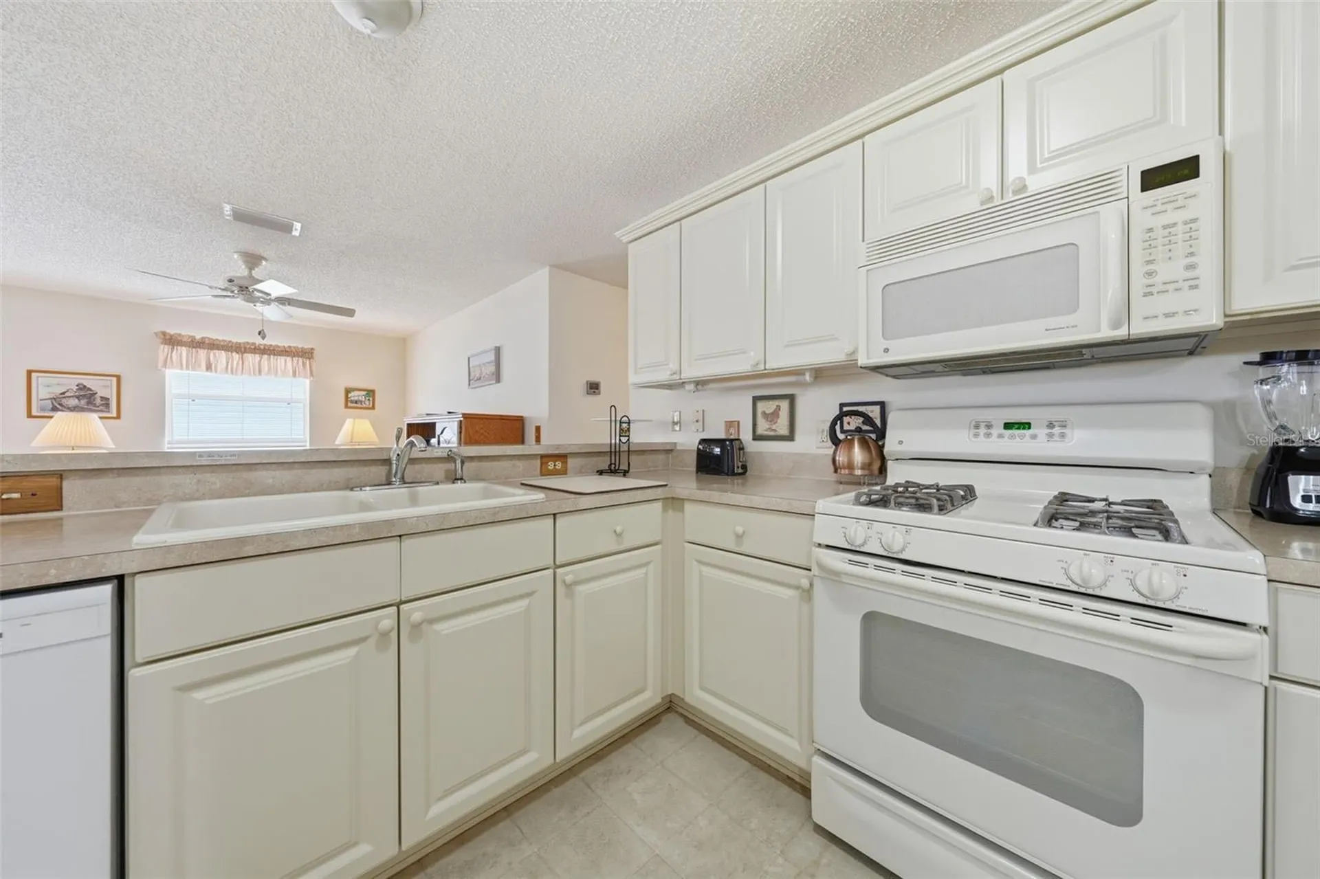 1614 Gibbes Way The Villages FL 32162