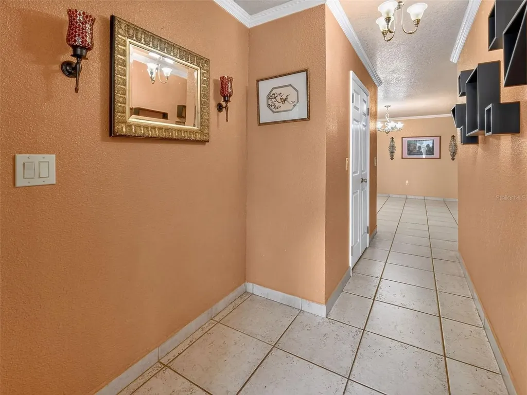 8516 Twin Lake Boulevard Tampa FL 33614
