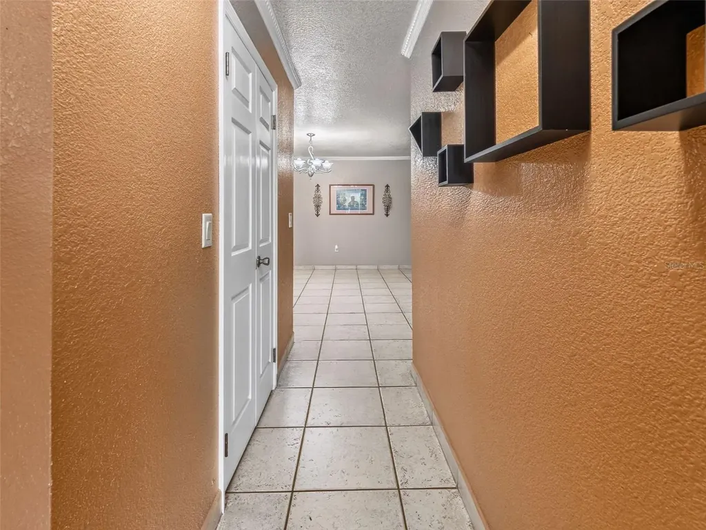 8516 Twin Lake Boulevard Tampa FL 33614