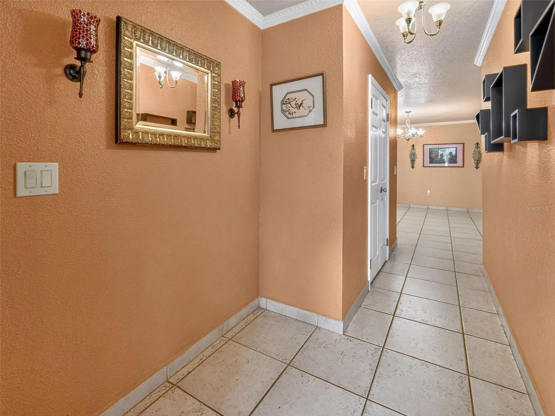 8516 Twin Lake Boulevard Tampa FL 33614