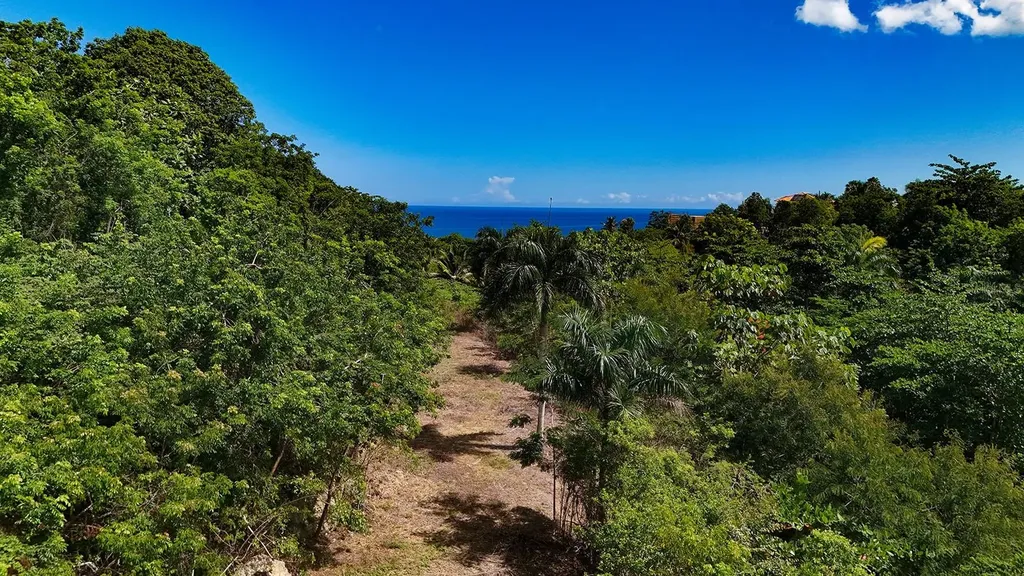 Puntas Paradise-- Calle Vista Del Mar Rincon PR 00677