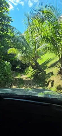 Puntas Paradise-- Calle Vista Del Mar Rincon PR 00677