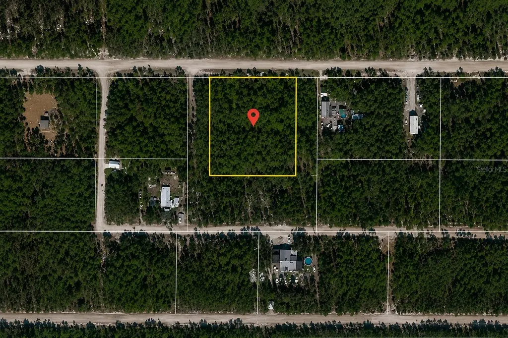 NE 239th Street Fort Mc Coy FL 32134