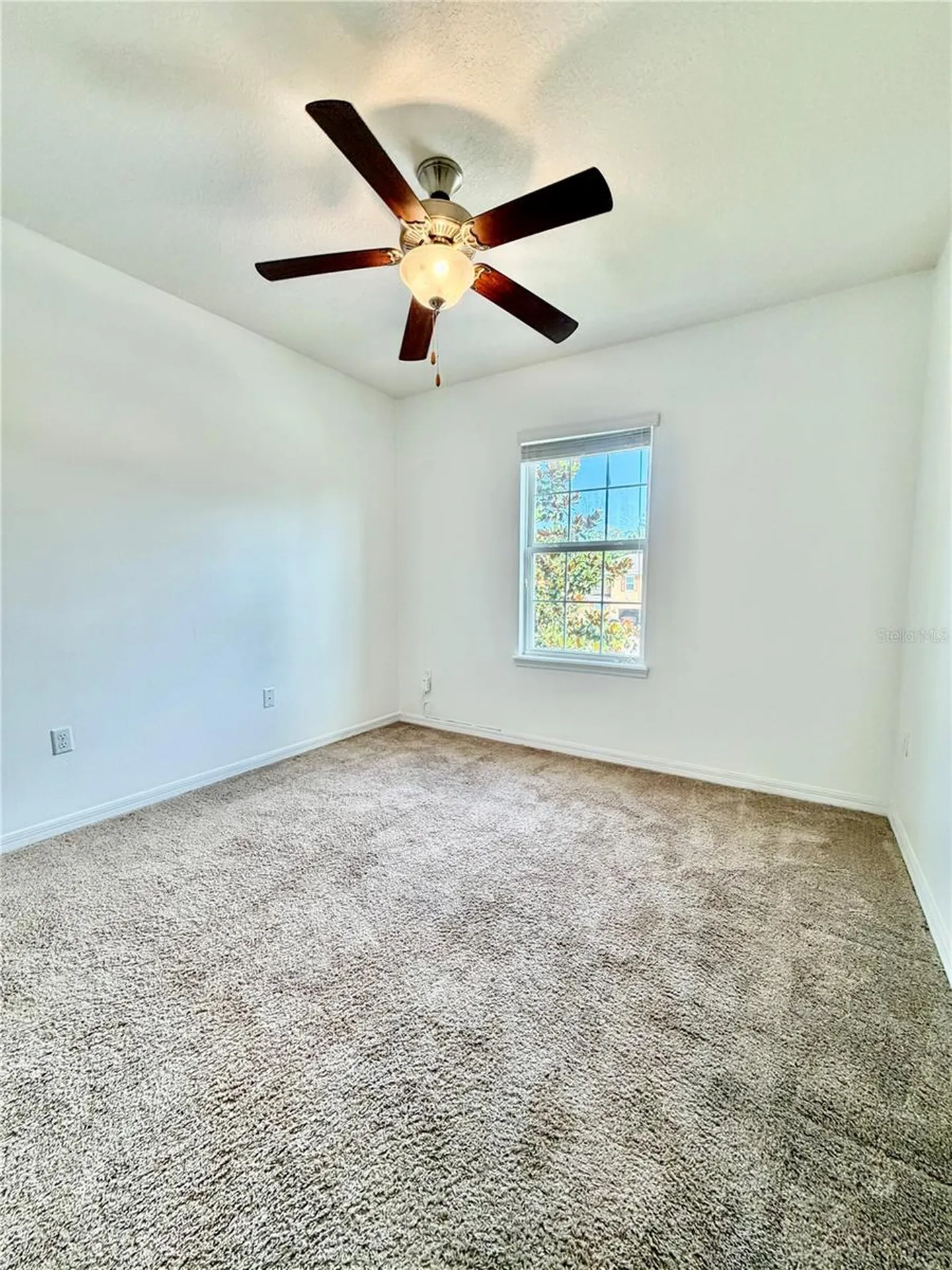 13961 River Willow Place Tampa FL 33637