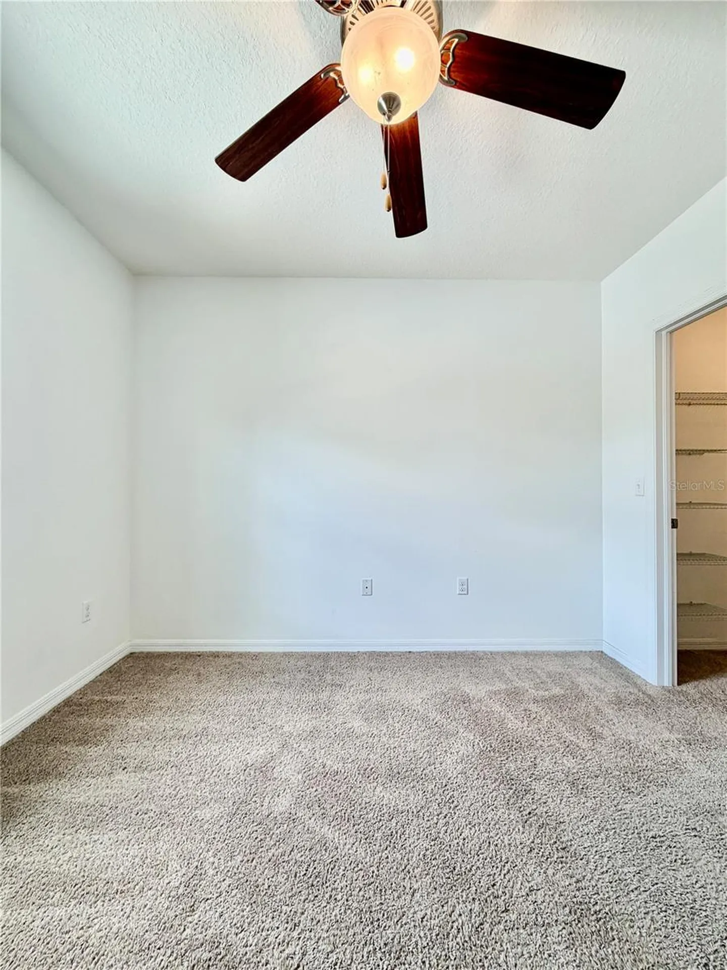 13961 River Willow Place Tampa FL 33637