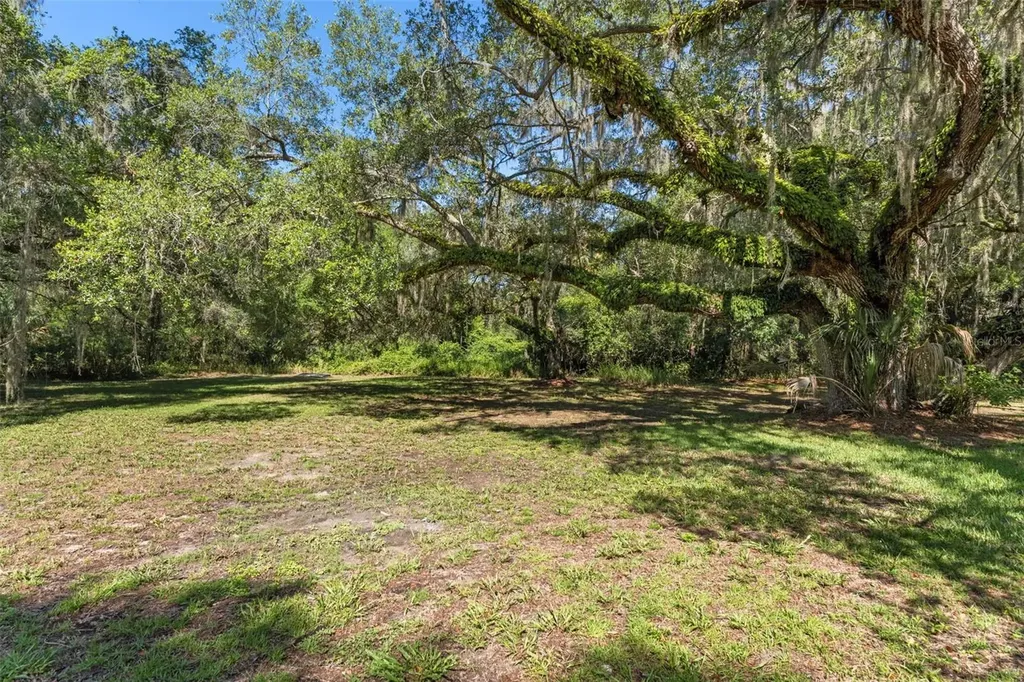 8668 N Elmtree Avenue Crystal River FL 34428