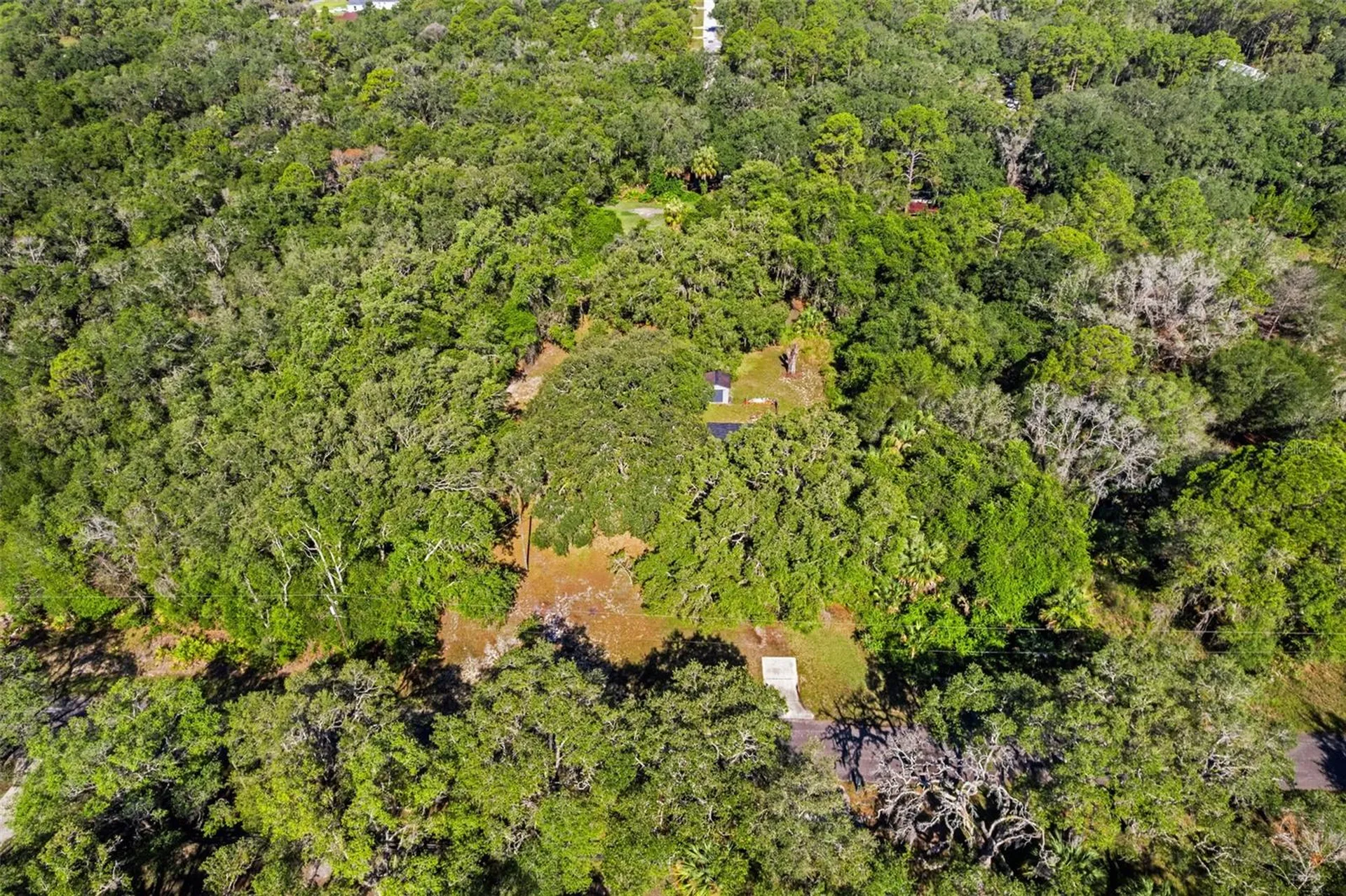 8668 N Elmtree Avenue Crystal River FL 34428