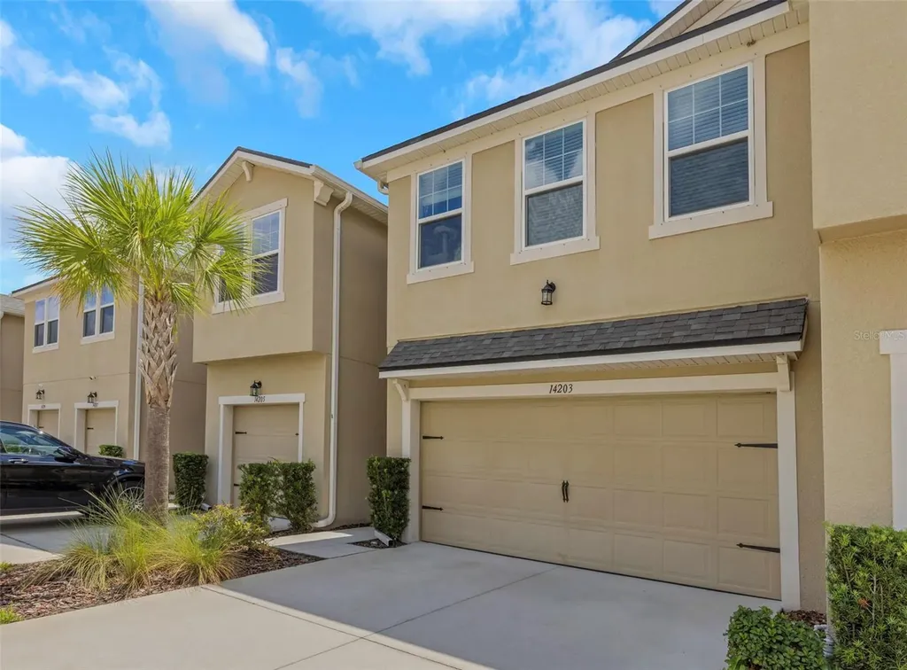 14203 Damselfly Drive Tampa FL 33625