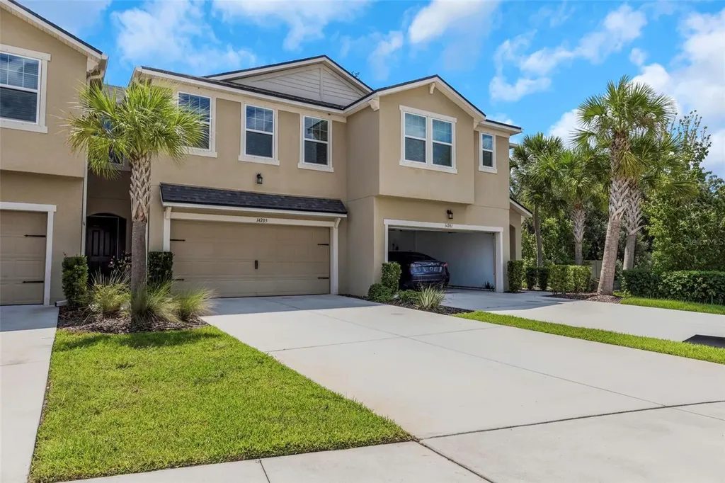14203 Damselfly Drive Tampa FL 33625