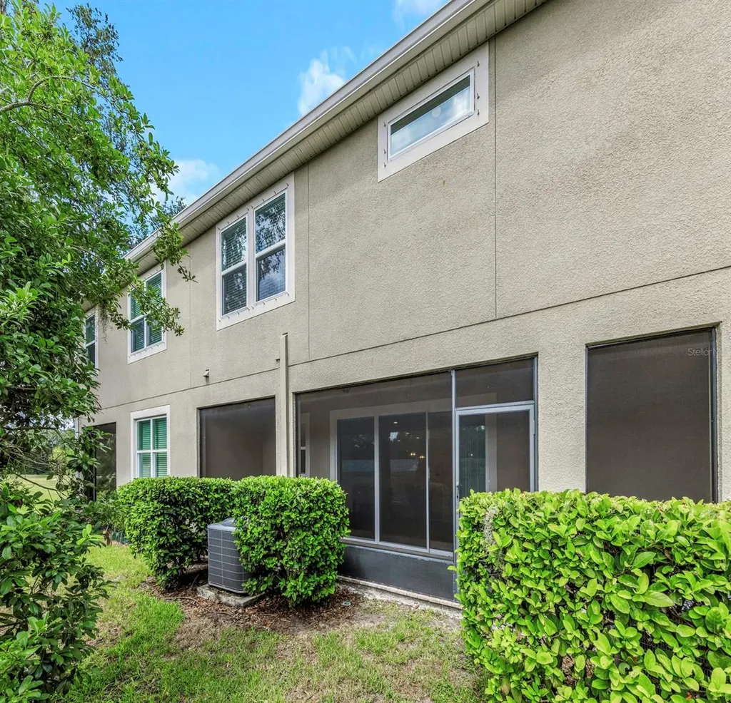 14203 Damselfly Drive Tampa FL 33625