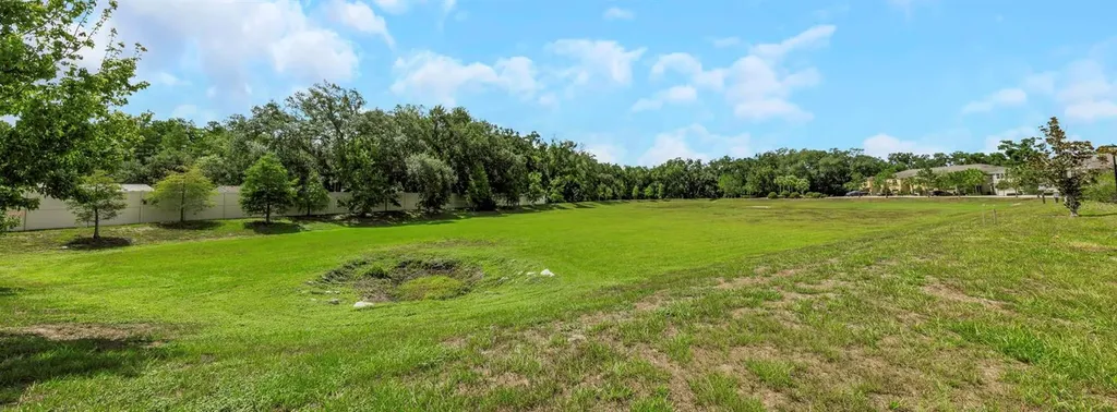 14203 Damselfly Drive Tampa FL 33625