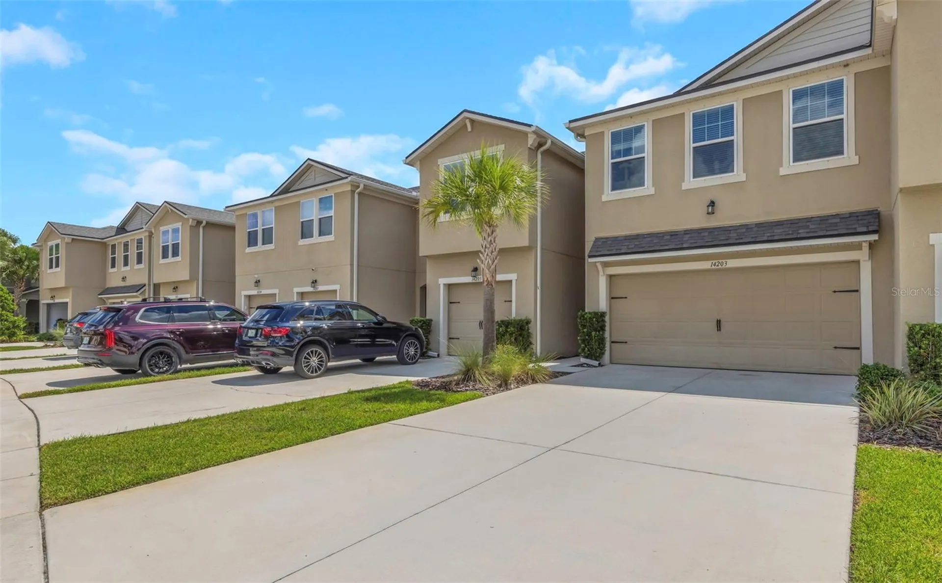 14203 Damselfly Drive Tampa FL 33625
