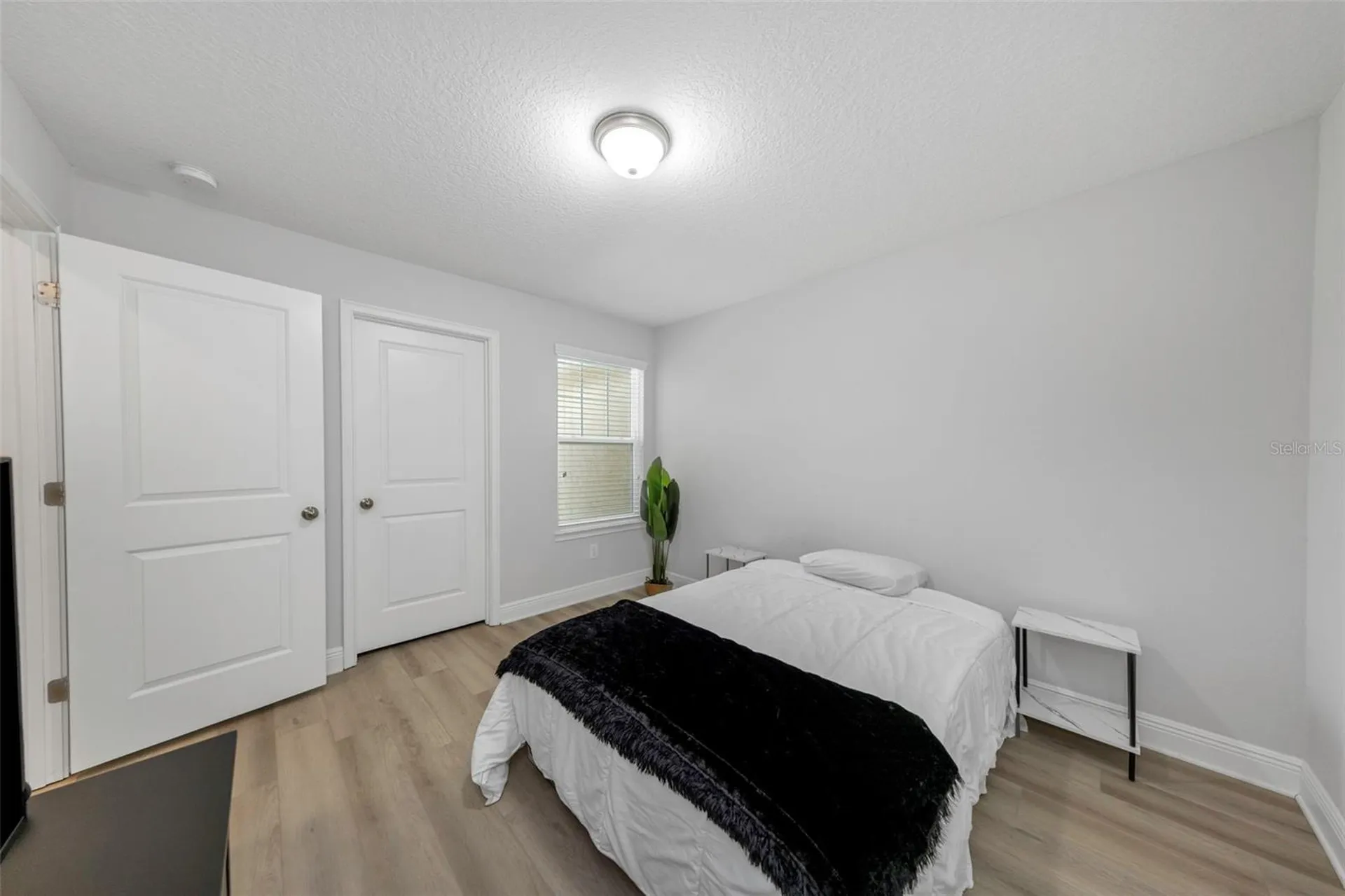 14203 Damselfly Drive Tampa FL 33625