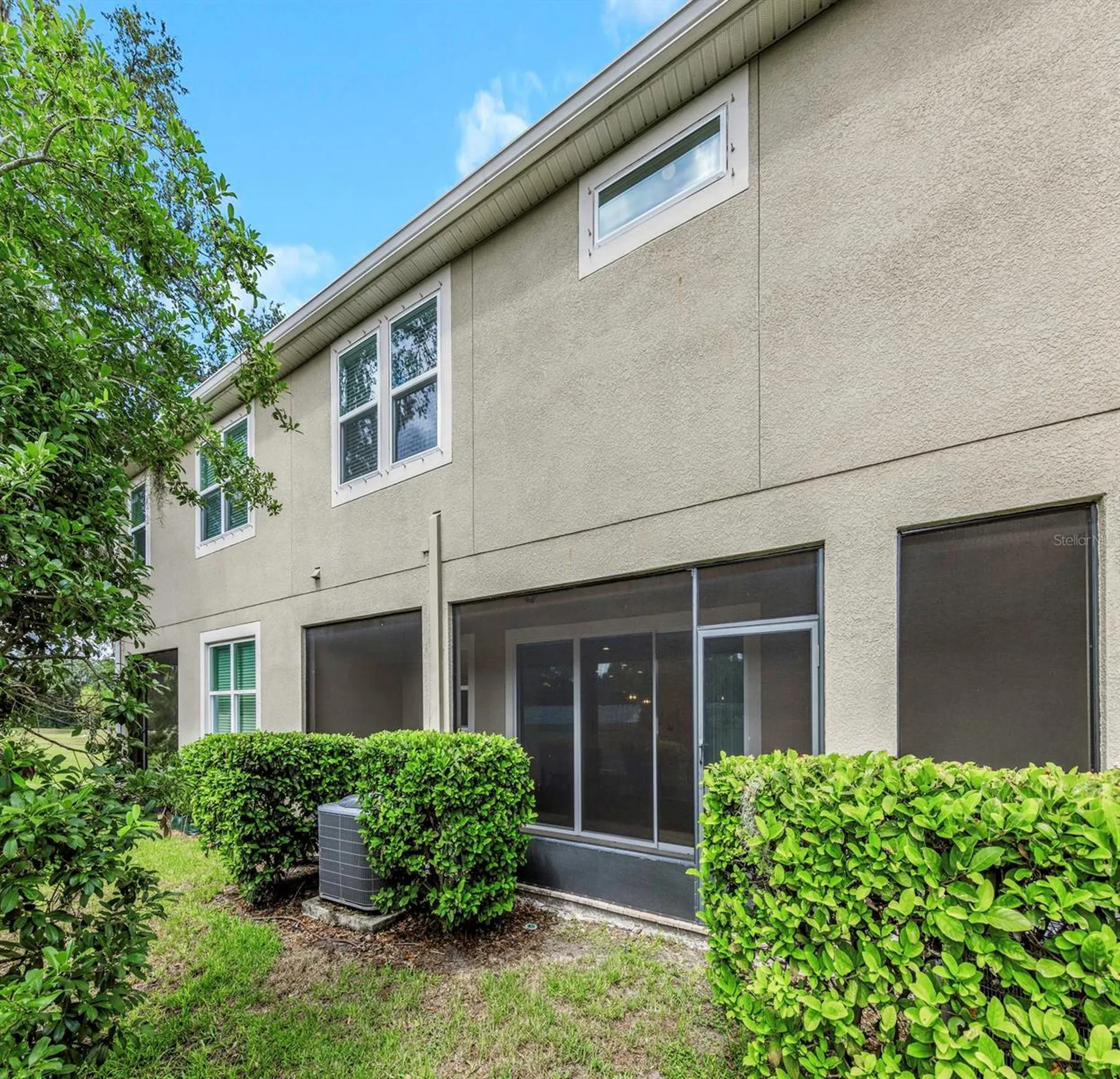 14203 Damselfly Drive Tampa FL 33625